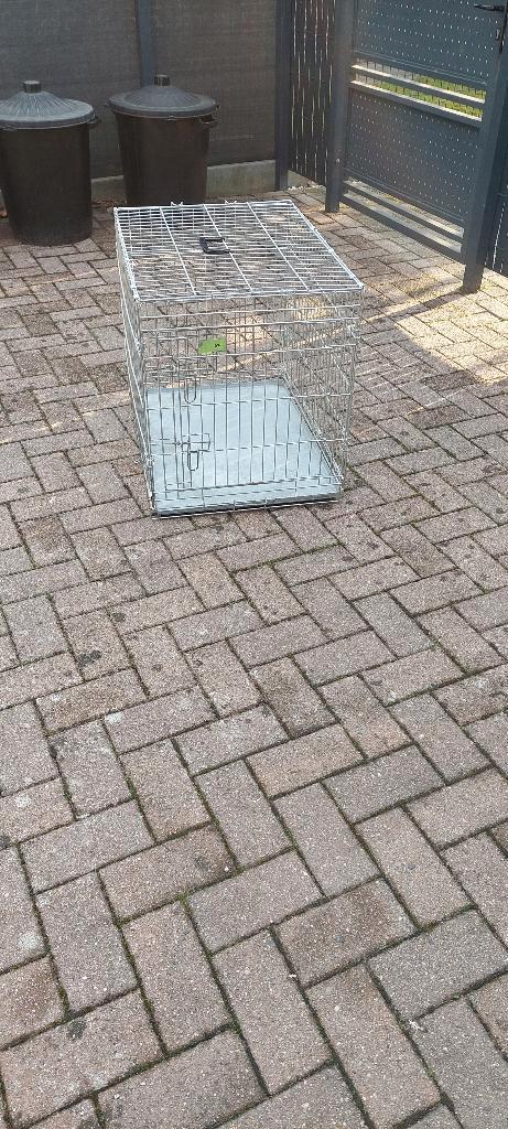 Honden Benches, Dieren en Toebehoren, Hondenbenches, Gebruikt, Ophalen