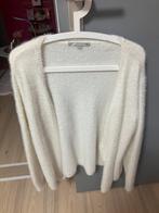 Maat 50, Kleding | Dames, Truien en Vesten, Ophalen of Verzenden, Zo goed als nieuw