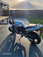 Honda cb 600, Motos, Motos | Honda, Particulier