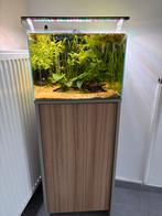 Aquarium eau douce, Enlèvement ou Envoi, Comme neuf