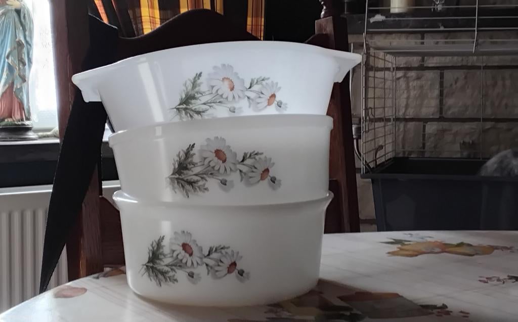 Lot de plat arcopal, Maison & Meubles, Cuisine | Vaisselle, Enlèvement