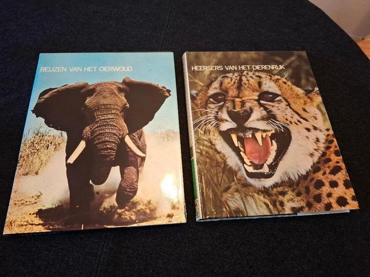 Prachtige 10-delige Lekturama Dierenrijk-reeks – NIEUWSTAAT!, Livres, Livres Autre, Comme neuf, Enlèvement ou Envoi