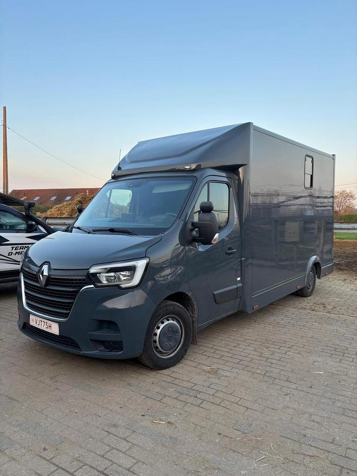 Renault master 2021 paardenwagen, Dieren en Toebehoren, Paarden en Pony's | Trailers en Aanhangwagens, Zo goed als nieuw, 2-paards trailer