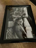 Signature de Brigitte Bardot, Collections, Enlèvement ou Envoi