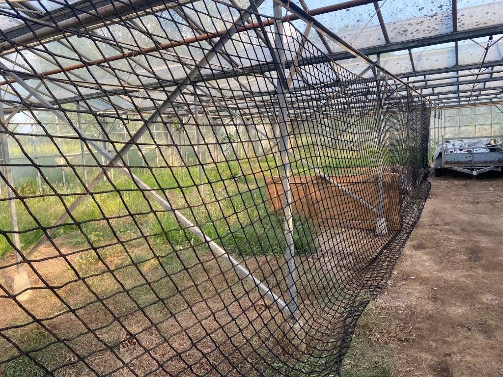 Net voor Goal, Veiligheid, Afscheiding, Lading,, Sport en Fitness, Ophalen, Nieuw