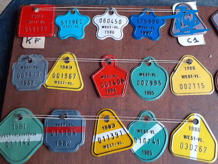 Plaques spéciales West-Vl, chariots de plage, tandem, enfant, Collections, Collections Autre, Utilisé, Enlèvement ou Envoi