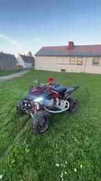 700 raptor homologuer, Motoren, 1 cilinder, 700 cc