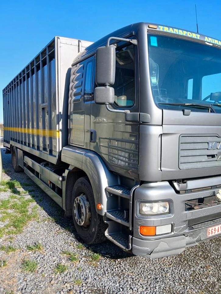 Camion bétaillère gris MAN TGA18.360, Autos, Camions, Particulier, Enlèvement