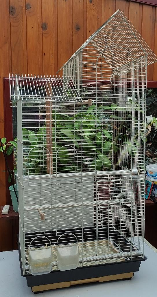 Grote Vogelkooi, Enlèvement, Cage à oiseaux