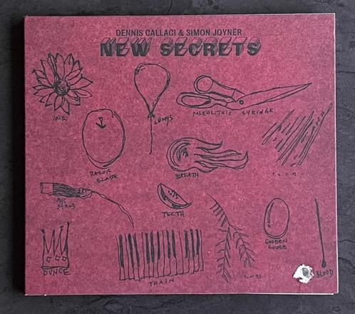 Dennis Callaci & Simon Joyner ‎- New Secrets, CD & DVD, CD | Rock, Utilisé, Chanteur-compositeur, Enlèvement ou Envoi