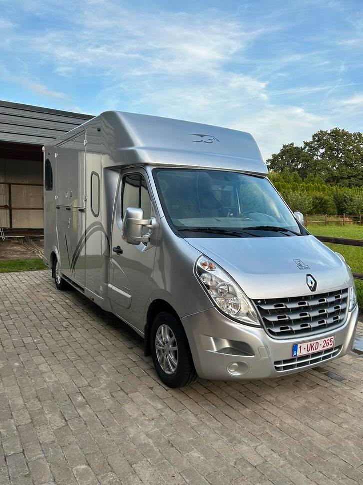 Taxi équestre, Animaux & Accessoires, Chevaux