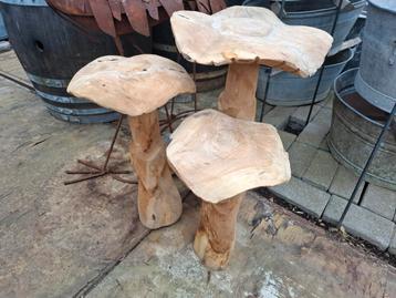 Grote teak houten paddestoelen set! Telkens 3 stuks!  beschikbaar voor biedingen