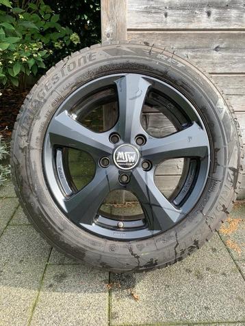 Wintervelgen 16”