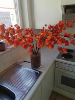 Te koop, Enlèvement