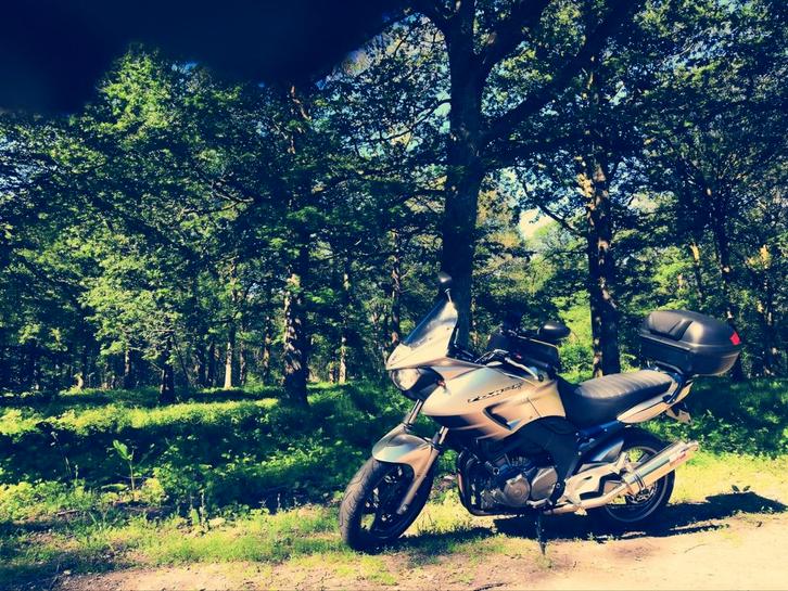Yamaha TDM 900 ABS - 2009 - 42.565 km, Motoren, Motoren | Yamaha, Particulier, Toermotor, meer dan 35 kW, 2 cilinders, Motorrijbewijs A