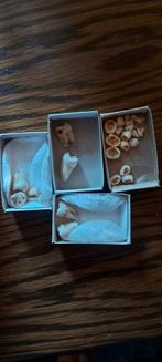 Lot tanden. Lot dents, Ophalen of Verzenden, Zo goed als nieuw