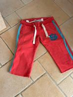 Superdry broek small, Kleding | Dames, Broeken en Pantalons, Ophalen of Verzenden