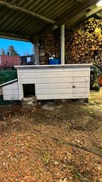 Kippenhok, Dieren en Toebehoren, Meerdere dieren, Kip