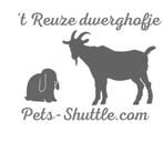 Transport de petits animaux, Services & Professionnels