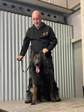 Gezocht gratis meubelen voor training honden  beschikbaar voor biedingen