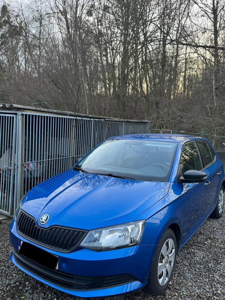 Skoda Fabia, Autos, Skoda, Particulier, Fabia, Essence, Enlèvement
