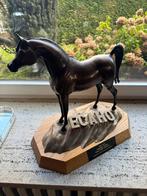 Arabisch volbloed - ECAHO Champion Stallion of the Year '04, Ophalen, Brons