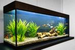 Aquarium avec tous les accessoires, Animaux & Accessoires, Poissons | Aquariums & Accessoires, Enlèvement, Comme neuf, Élément de décoration