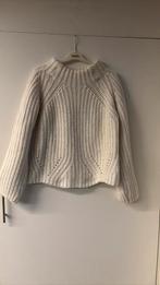 Trui large, Kleding | Dames, Truien en Vesten, Ophalen of Verzenden, Zo goed als nieuw