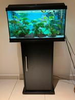 Jawel aquarium 60l, Dieren en Toebehoren, Ophalen