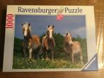 Puzzel Ravensburger 1000 stukjes Manen in de wind, 500 à 1500 pièces, Puzzle, Utilisé, Enlèvement ou Envoi