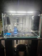 Aquarium superfish home 65 aquascaping, Ophalen, Gebruikt, Leeg aquarium