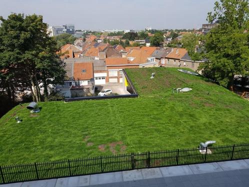dakturf een eenvoudig groendak, Doe-het-zelf en Bouw, Dakpannen en Dakbedekking, Nieuw, Overige typen, Overige materialen, Overige kleuren