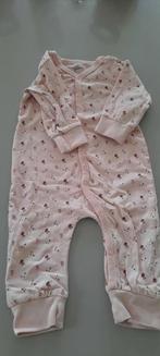 7 body's, Enlèvement