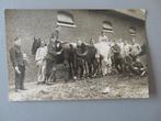 1920,s foto postkaart Beverlo Verzorging van de paarden, Ophalen of Verzenden, Overige soorten, Foto of Poster