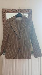 Prachtig MASSIMO DUTTI broekpak - T40 - 2x gedragen, Ophalen, Kostuum of Pak, Massimo Dutti, Beige