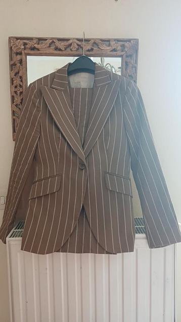 Superbe tailleur pantalon MASSIMO DUTTI - T40 - porté 2x, Massimo Dutti, Beige, Comme neuf, Enlèvement