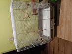 Vogel kooi, Dieren en Toebehoren, Vogels | Hokken en Kooien, Ophalen, Zo goed als nieuw