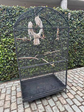 Vogelkooi  beschikbaar voor biedingen