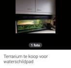 Terrarium voor waterschildpad, Dieren en Toebehoren, Ophalen, Zo goed als nieuw