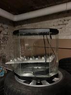 kleine aquarium te koop, Ophalen, Gebruikt