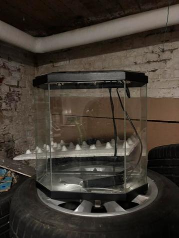 kleine aquarium te koop beschikbaar voor biedingen