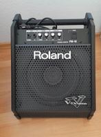 Roland PM-10 drum versterker / monitor, Ophalen, Zo goed als nieuw, Minder dan 500 watt, Monitor(versterker)