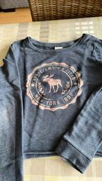 Abercrombie & fitch trui meisje 12j (kids xl), Kinderen en Baby's, Ophalen, Gebruikt, Meisje