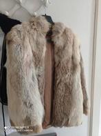 Veste a poil, Kleding | Dames, Jassen | Winter, Ophalen, Zo goed als nieuw