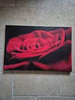 Canvas Roos, Antiek en Kunst, Ophalen