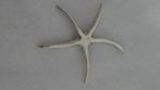 Grote zilver hanger gestempeld, Ophalen of Verzenden, Zo goed als nieuw, Zilver, Zilver