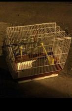 TE KOOP vogelkooi tafel stoelen kast tapijt trainer  micro, Ophalen, Zo goed als nieuw