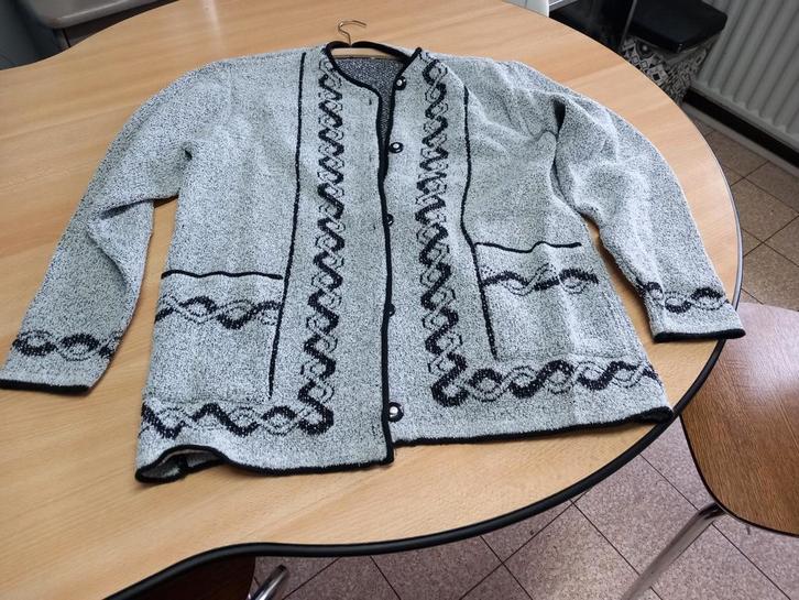 Gilet 40/42, Vêtements | Femmes, Pulls & Gilets, Neuf, Noir, Enlèvement ou Envoi