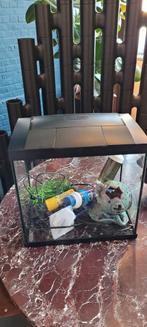 Superfish Aquarium met deksel 36 x 23 x 37,4 cm – 25 liter, Dieren en Toebehoren, Zo goed als nieuw, Ophalen