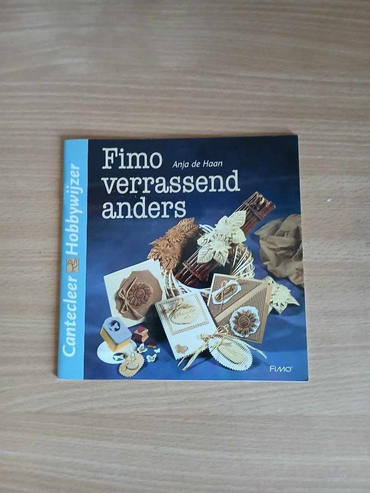 Wenskaarten maken - Cantecleer Hobbywijzer en DoeBoekjes, Hobby en Vrije tijd, Kaarten | Zelf maken, Zo goed als nieuw, Overige typen